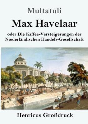 Book cover for Max Havelaar (Großdruck)