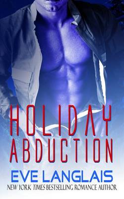 Book cover for Holiday Abduction