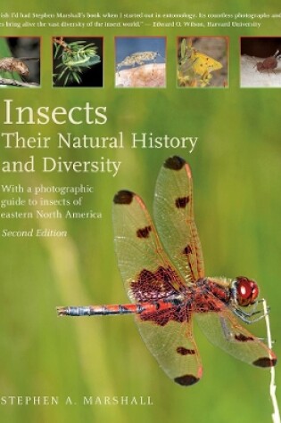 Cover of Insects: Their Natural History and Diversity