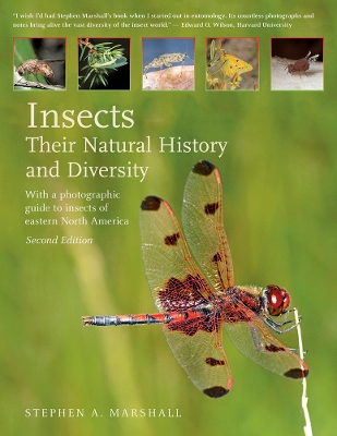 Book cover for Insects: Their Natural History and Diversity