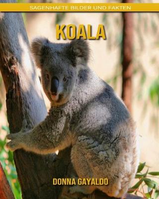 Book cover for Koala