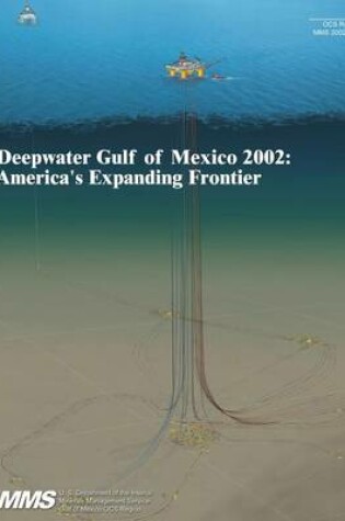 Cover of Deepwater Gulf of Mexico 2002