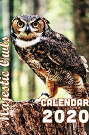 Cover of Majestic Owls Calendar 2020