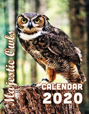 Book cover for Majestic Owls Calendar 2020