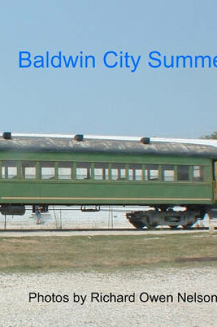 Cover of Baldwin City Summer