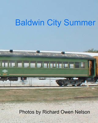 Book cover for Baldwin City Summer