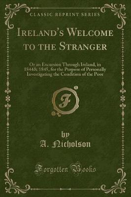 Book cover for Ireland's Welcome to the Stranger