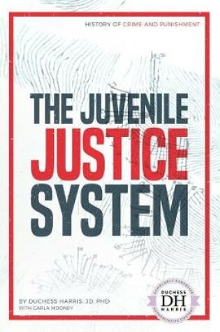 Cover of The Juvenile Justice System