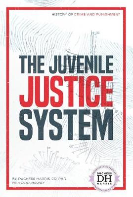 Book cover for The Juvenile Justice System