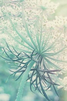 Book cover for Queen Anne's Lace - Blank Notebook with Fleur de Lis Corners