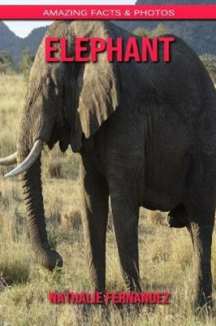 Cover of Elephant