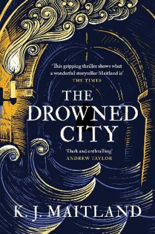 Cover of The Drowned City