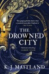 Book cover for The Drowned City