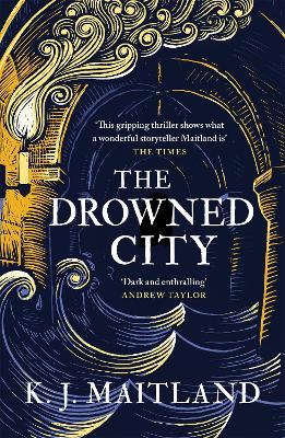 Book cover for The Drowned City