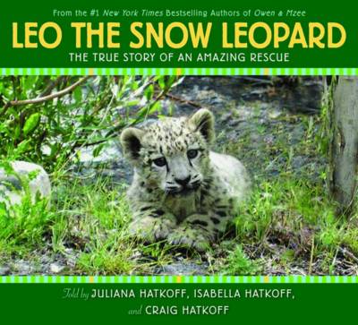 Book cover for Leo the Snow Leopard