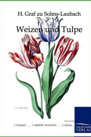 Cover of Weizen und Tulpe