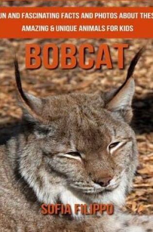 Cover of Bobcat