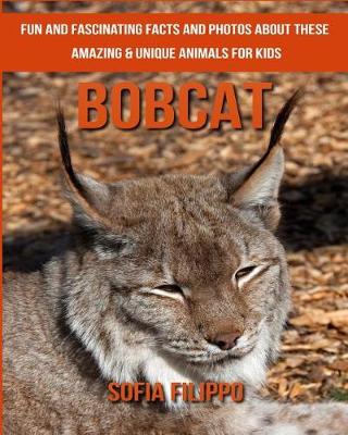 Book cover for Bobcat