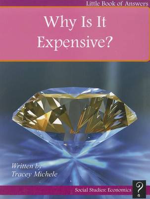 Book cover for Why Is It Expensive?