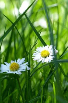 Book cover for White Daisy Flowers in the Grass