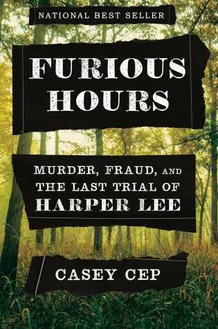 Cover of Furious Hours