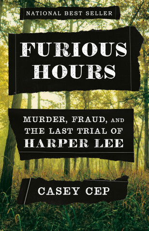 Book cover for Furious Hours