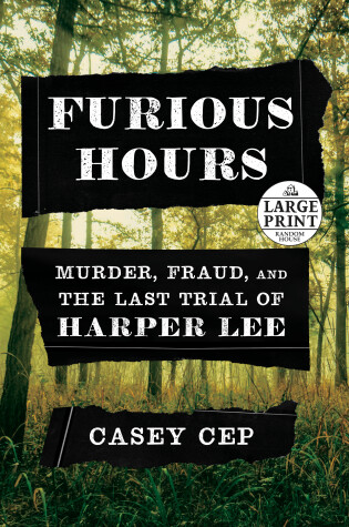 Cover of Furious Hours