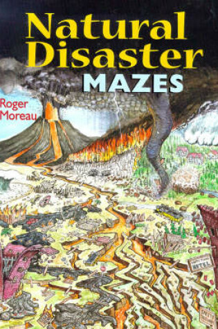 Cover of Natural Disaster Mazes