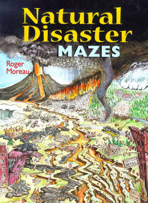 Book cover for Natural Disaster Mazes