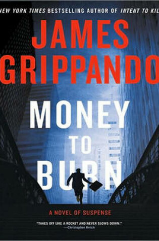 Cover of Money To Burn Large Print