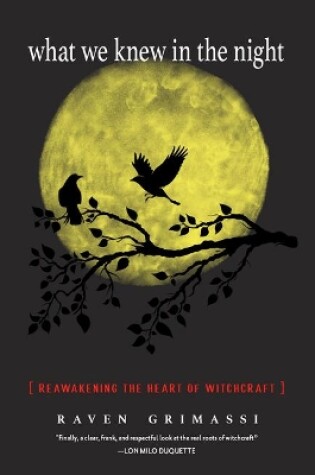 Cover of What We Knew in the Night