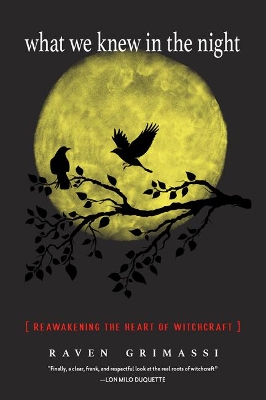 Book cover for What We Knew in the Night