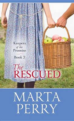 Book cover for The Rescued