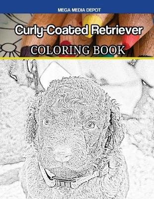 Book cover for Curly-Coated Retriever Coloring Book