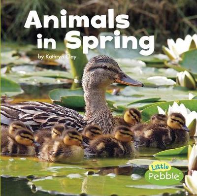 Cover of Animals in Spring