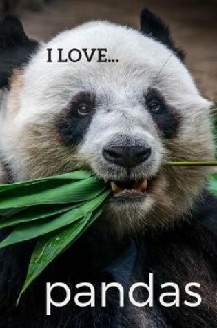 Cover of I Love Pandas