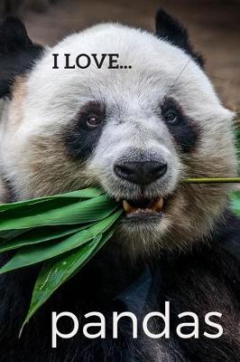 Book cover for I Love Pandas
