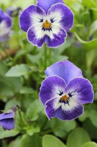 Cover of Lovely and Old-Fashioned Blue Violet Pansy Flowers Journal