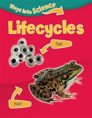 Book cover for Lifecycles