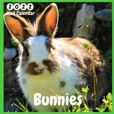 Book cover for Bunnies 2022 Wall Calendar