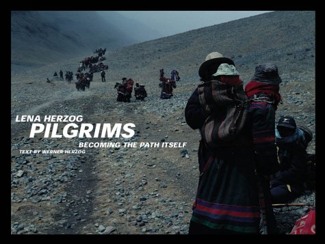 Book cover for Pilgrims