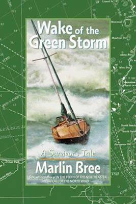 Book cover for Wake of the Green Storm