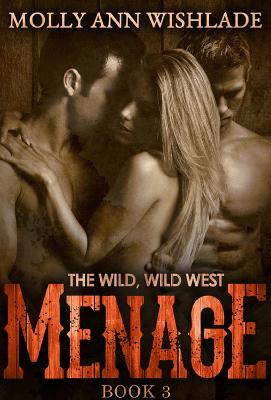 Book cover for Menage