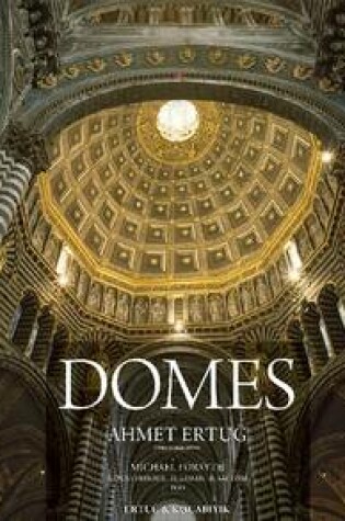 Cover of Domes