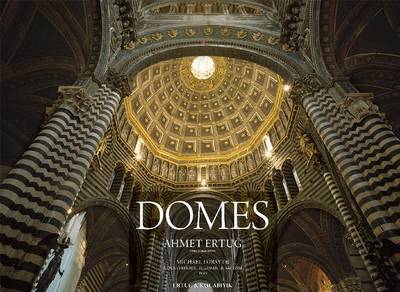 Book cover for Domes