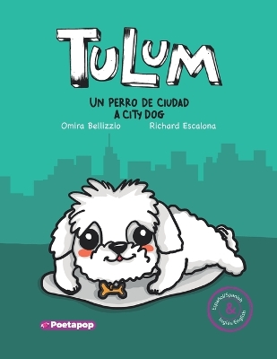 Book cover for Tulum