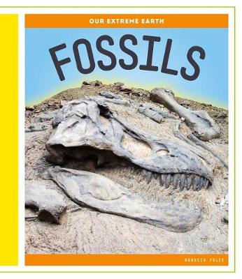 Cover of Fossils