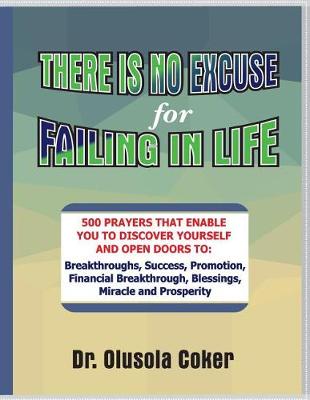 Book cover for There Is No Excuse for Failing in Life