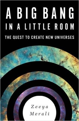 Book cover for A Big Bang in a Little Room