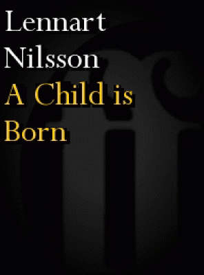 Book cover for A Child is Born